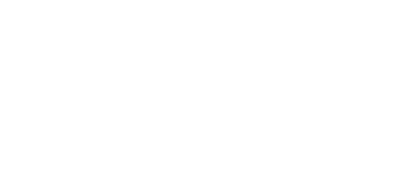 Magic City Lights logo